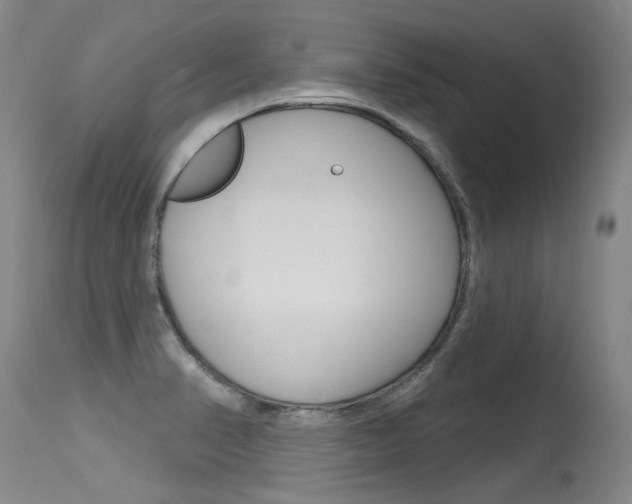 X0000115731374200911121116