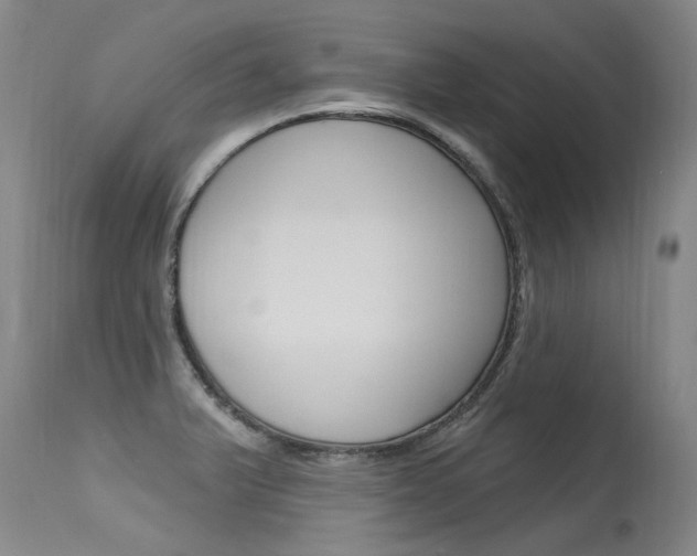 X0000115731375200911121116