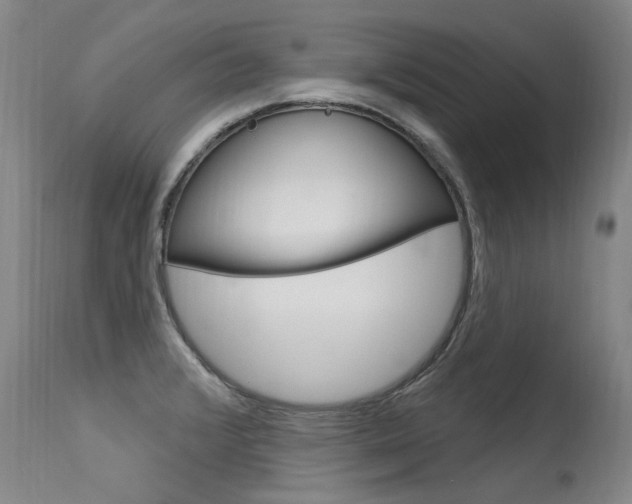 X0000115731376200911121116