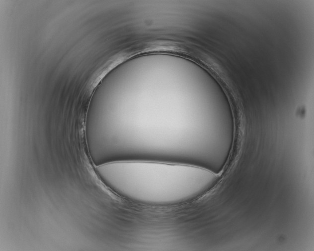 X0000115731377200911121116
