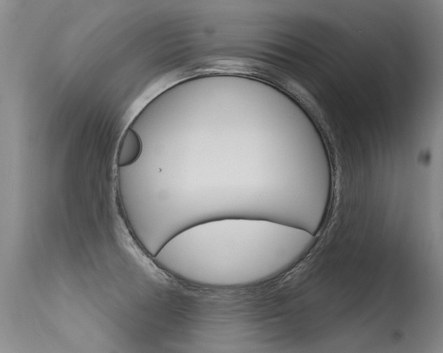 X0000115731378200911121116
