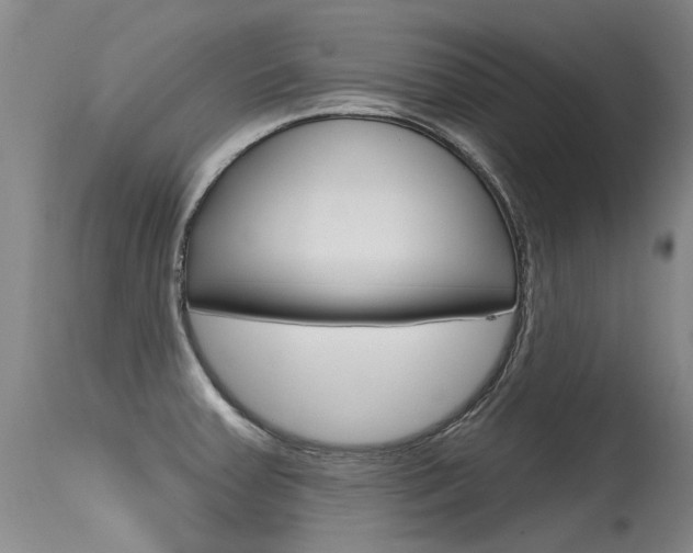 X0000115731379200911121116