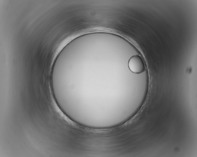 X0000115731381200911121116