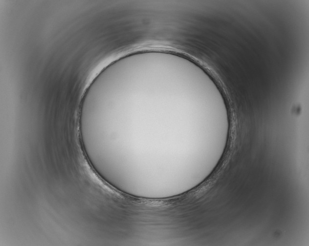 X0000115731382200911121116