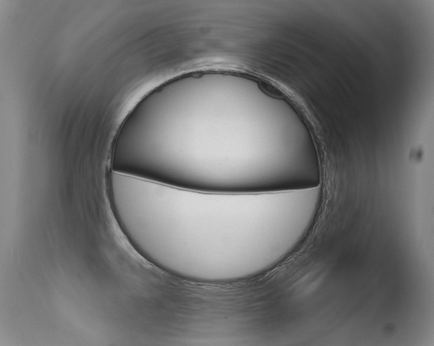 X0000115731383200911121116