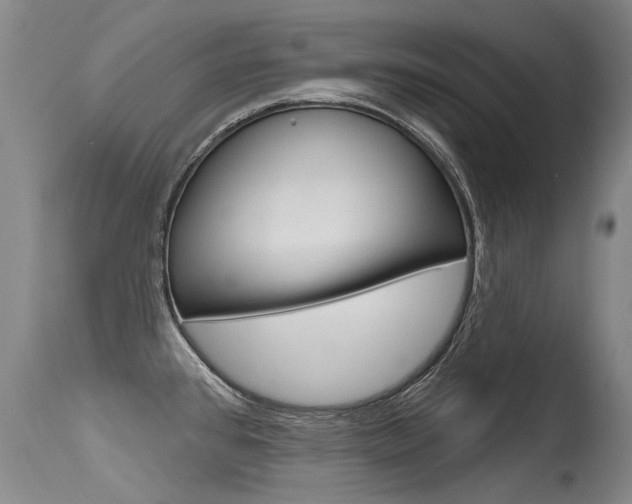 X0000115731384200911121116