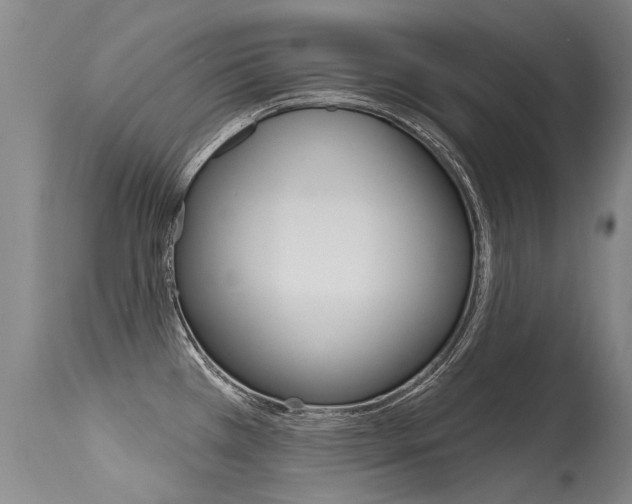 X0000115731385200911121116