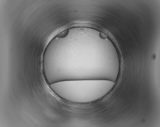 X0000115731386200911121116