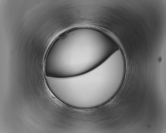 X0000115731388200911121116