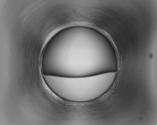 X0000115731389200911121116