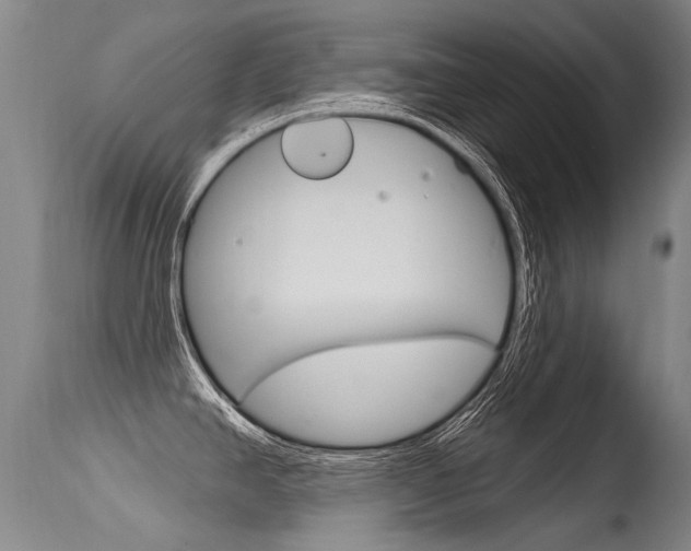 X0000115731390200911121116
