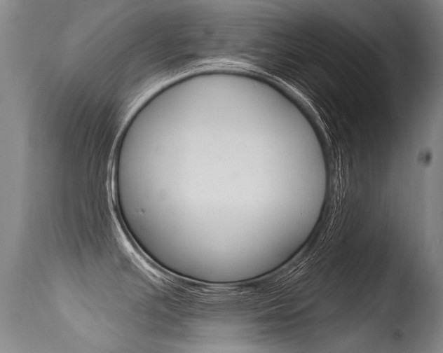 X0000115731391200911121116