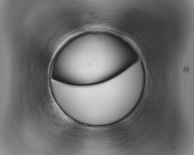 X0000115731392200911121116