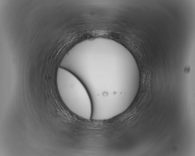 X0000115731393200911121115