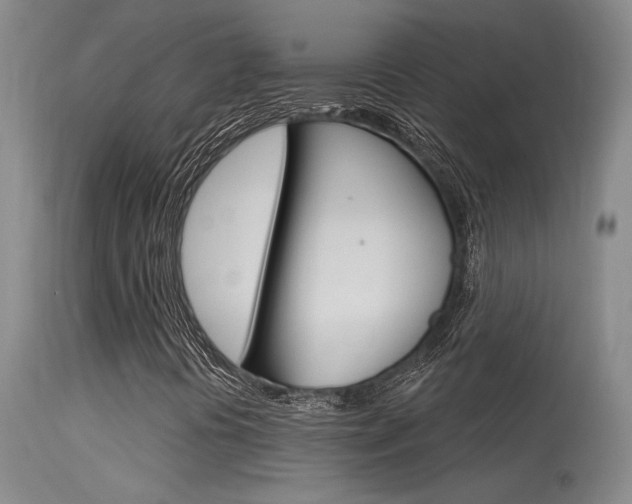 X0000115731394200911121115
