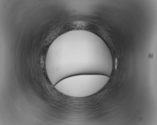 X0000115731395200911121115