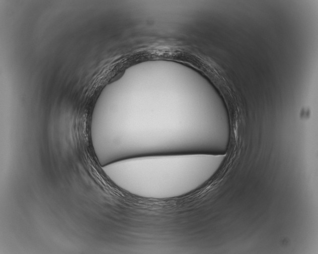 X0000115731396200911121115