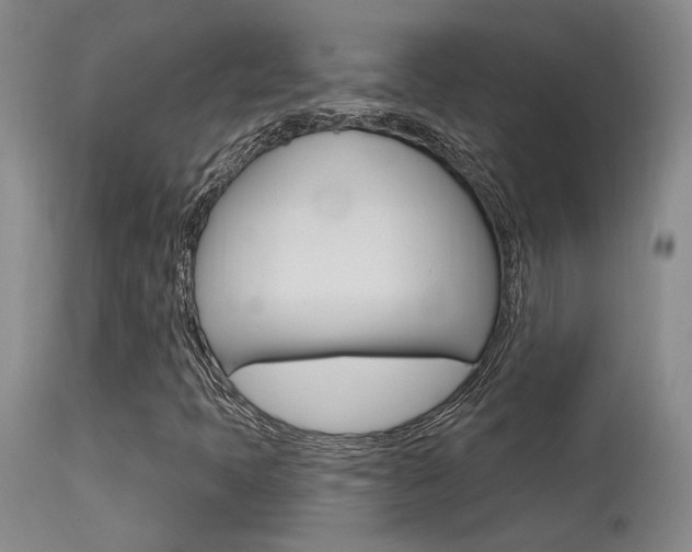 X0000115731397200911121115