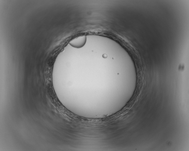 X0000115731399200911121115