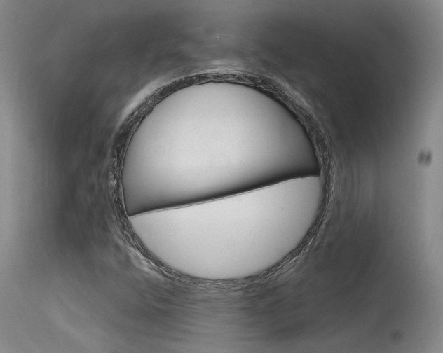 X0000115731400200911121115