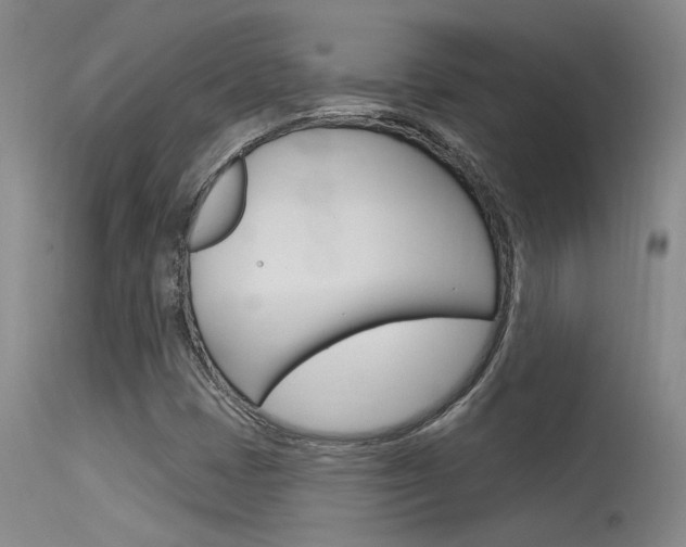 X0000115731401200911121115