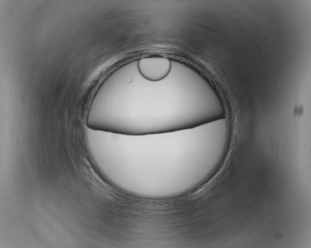 X0000115731402200911121115