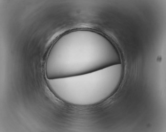 X0000115731404200911121115