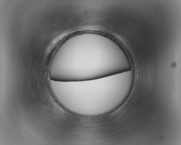 X0000115731406200911121115