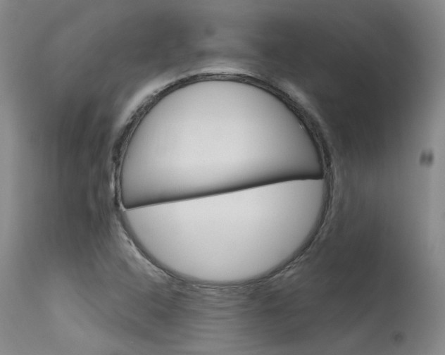 X0000115731408200911121116