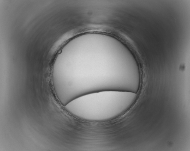 X0000115731411200911121116