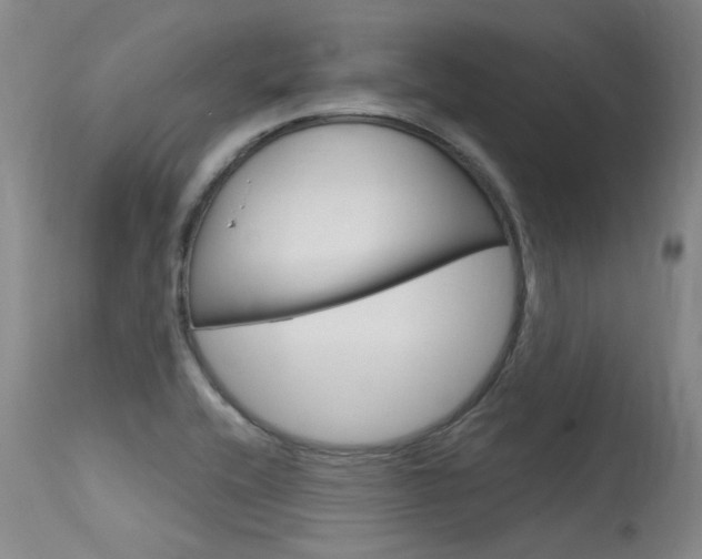 X0000115731416200911121116