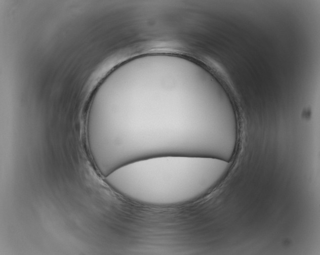 X0000115731419200911121116