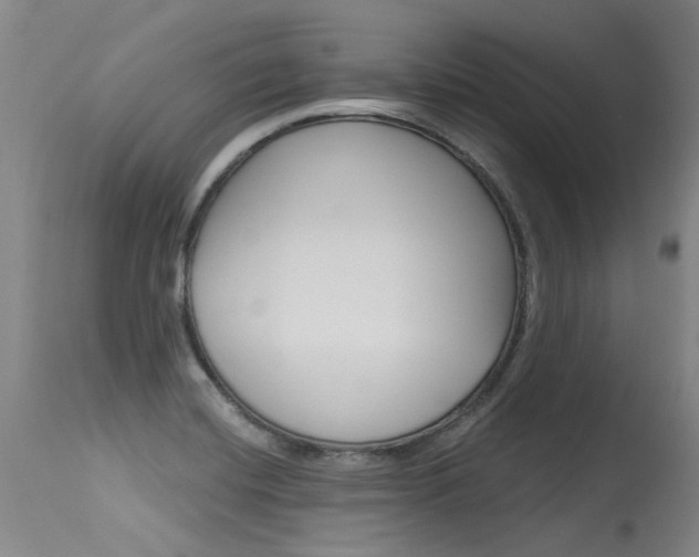 X0000115731420200911121116