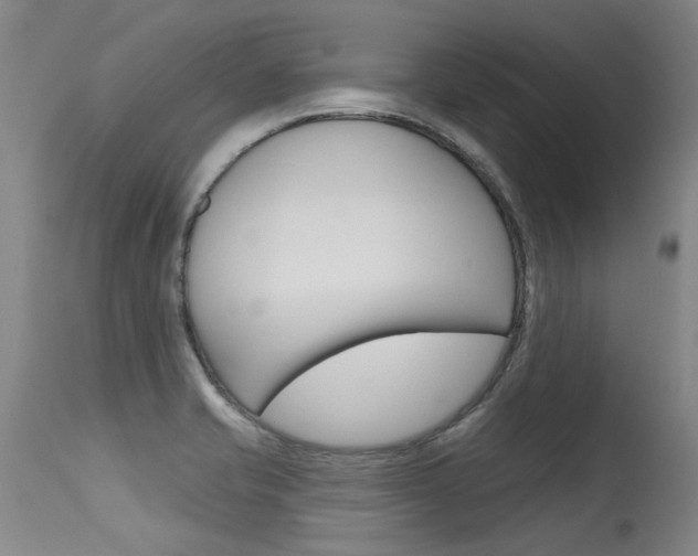 X0000115731421200911121116