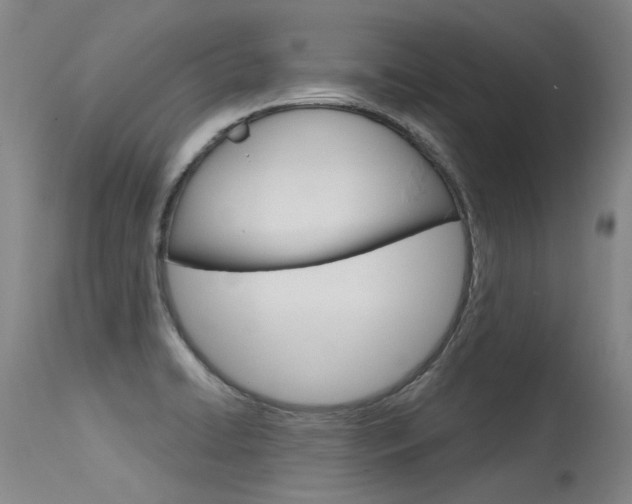 X0000115731422200911121116