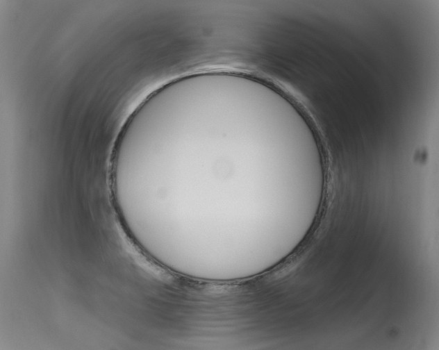 X0000115731423200911121116