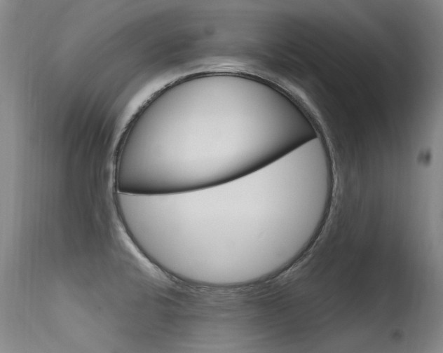 X0000115731424200911121116