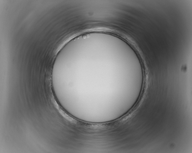 X0000115731425200911121116
