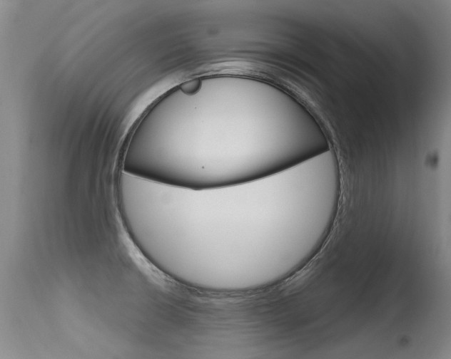 X0000115731426200911121116