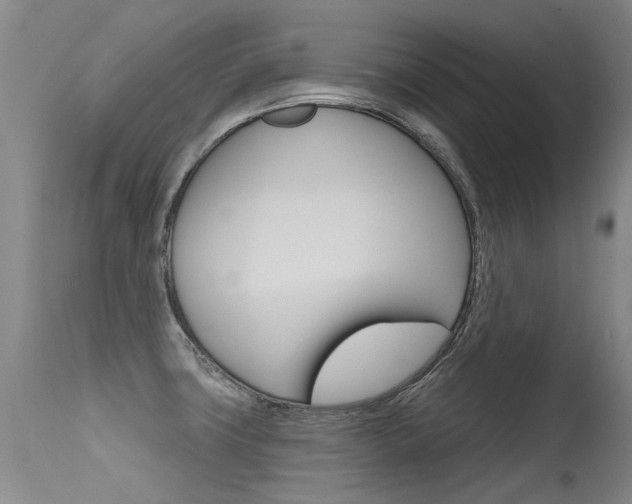 X0000115731427200911121116
