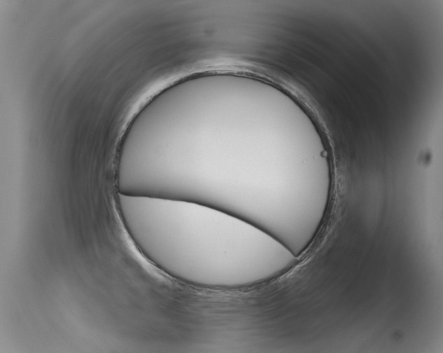 X0000115731429200911121116