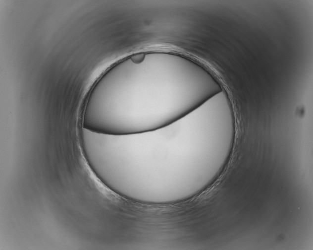 X0000115731430200911121116