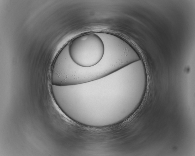 X0000115731432200911121116
