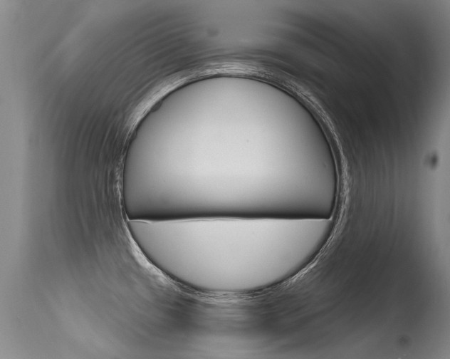 X0000115731433200911121116