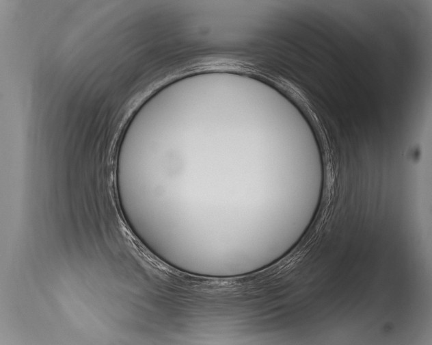 X0000115731435200911121116
