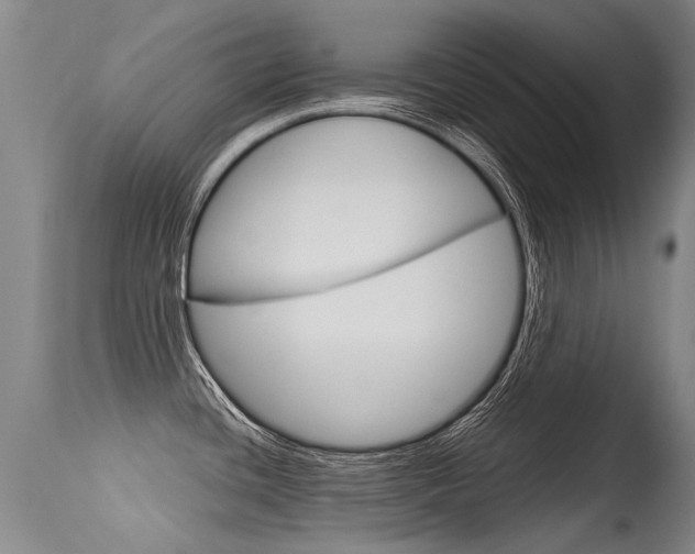 X0000115731436200911121116