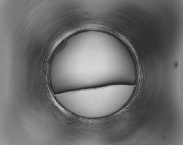X0000115731437200911121116