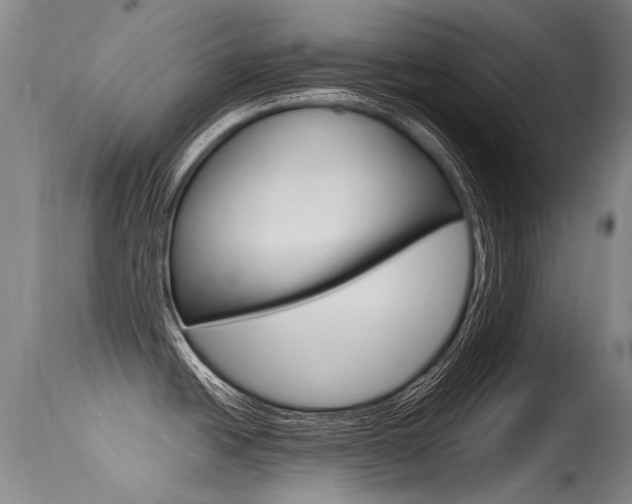 X0000115731438200911121116