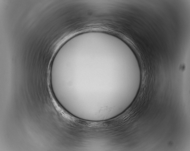 X0000115731439200911121116