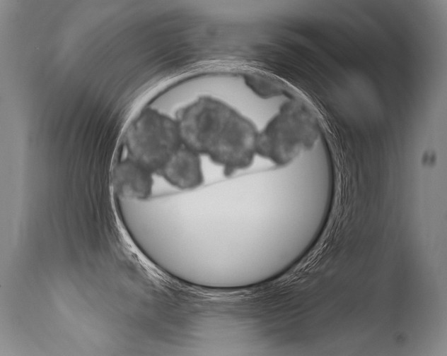 X0000115731440200911121116